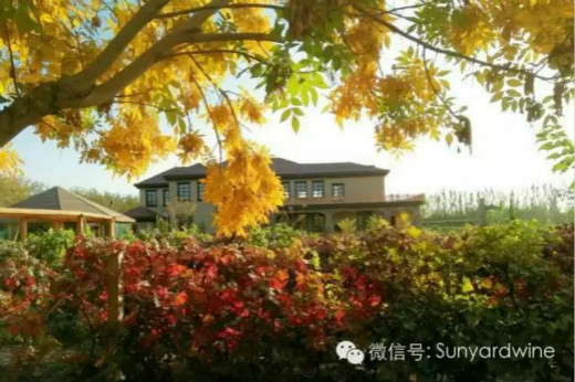 【葡粹动态】新雅葡萄酒获评2015”哈密礼物”特色旅游商品