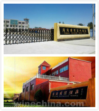 中国酿酒师风采录(84)张旭:酿酒师——葡萄酒风格的参与者
