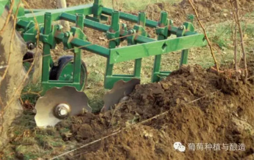 你的葡萄园用什么样的埋土机和出土机