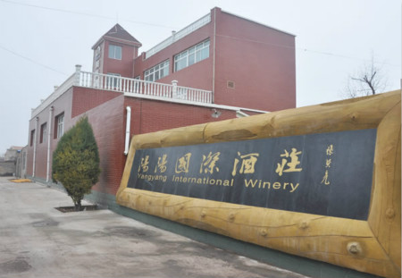“阳阳”的百年梦想——访阳阳国际酒庄庄主何宏