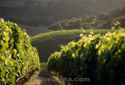 ����������ɫ�к��������õ�����־�Ͽ�