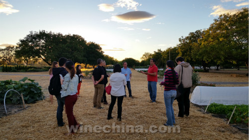 加州葡萄酒旅行漫记(三)加州的可持续酿酒葡萄种植(上)