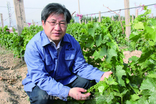 【酿酒师语录】(20)何宏权:挖掘葡萄本身的产地生态特征做好酒