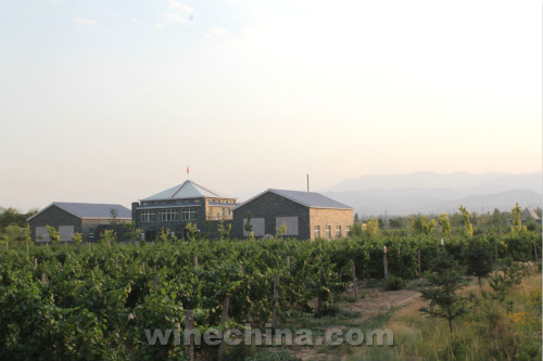 2015中国优质葡萄酒挑战赛获奖产品鉴赏(27)贺兰晴雪酒庄