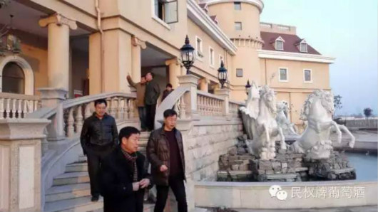 中葡网专家团到访民权九鼎葡萄酒有限公司