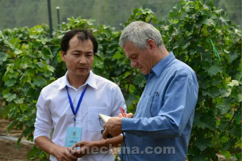 中国酿酒师风采录(89)薛飞:酿酒师的脚下没有终点