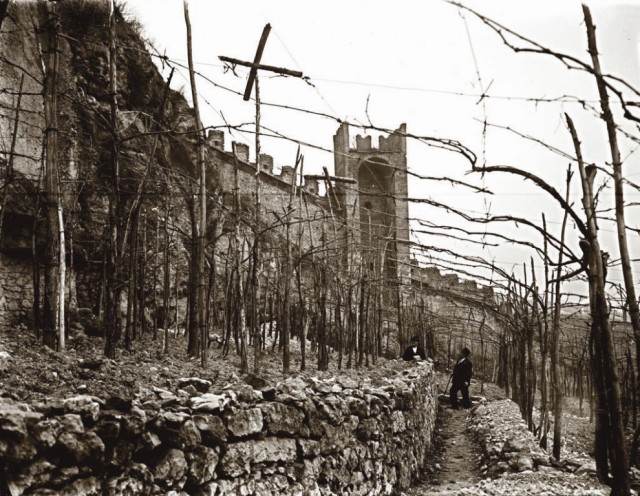 Italy Lists Soave In National Register