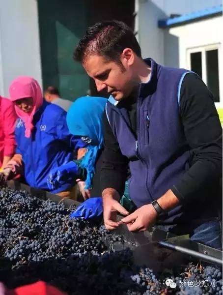 西班牙酿酒师Jose在宁夏