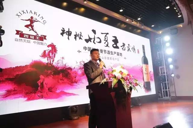 “神秘西夏，王者柔情”—西夏王开拓福建助闽宁合作创共赢 