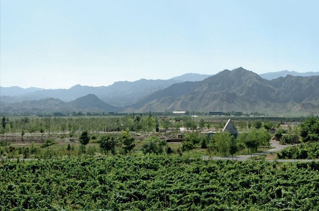 China: Plans for Ningxia wine classification system revealed