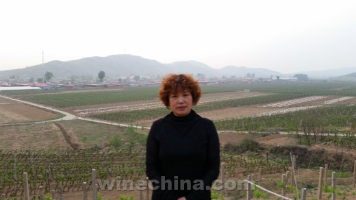 中国酿酒师风采录(92)倪玉英:酿酒 如哺育孩子