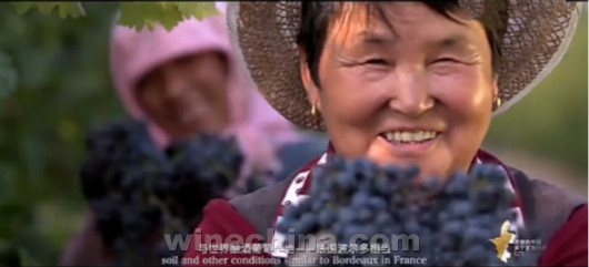 Video:An Open China:From Ningxia to the World