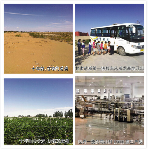 开启中国葡萄酒行业有机时代 国产有机葡萄酒企业威龙发力