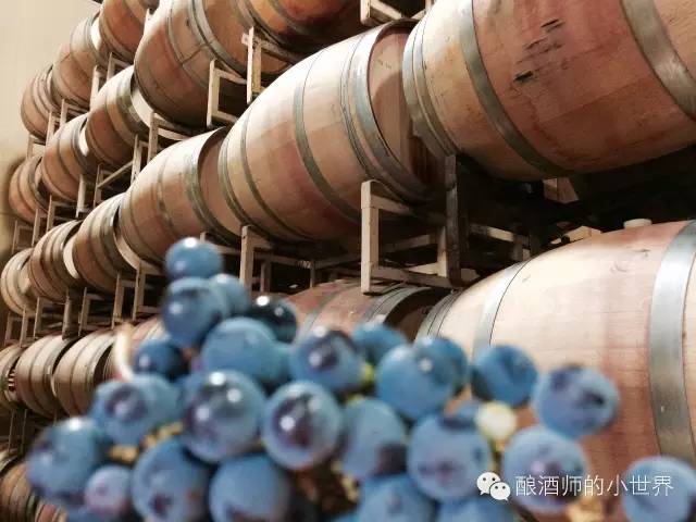 用生化数据告诉你为何”自酿葡萄酒“会令酿酒师闻风丧胆