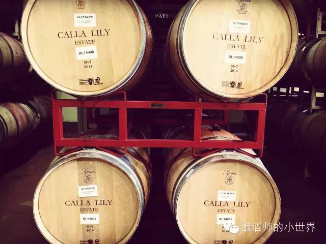 用生化数据告诉你为何”自酿葡萄酒“会令酿酒师闻风丧胆