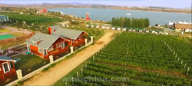 Video:Taila Group Eco-cultural Complex