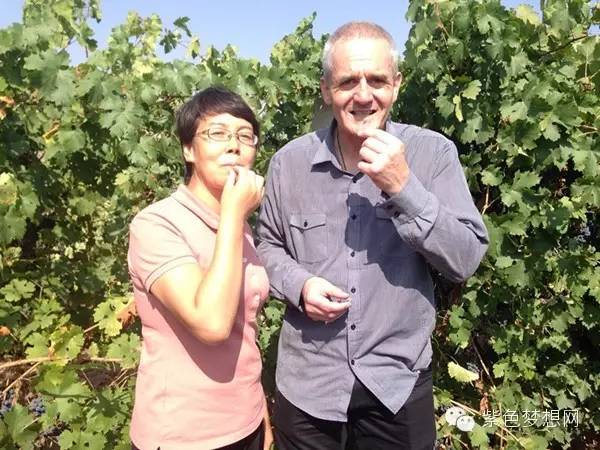 银广夏酿酒师彼得:在宁夏的美好时光