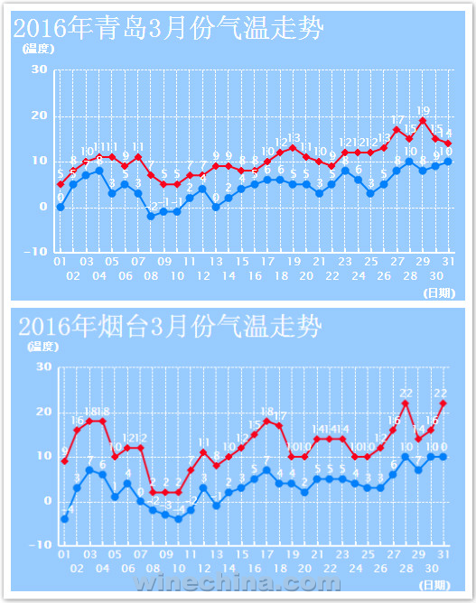 2016葡萄园报告(5)胶东产区:正进入伤流期 防寒防旱不懈怠