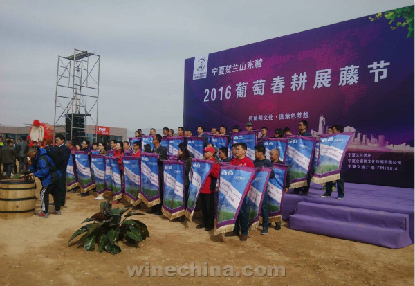 2016葡萄园报告(8)贺兰山东麓产区:春耕展藤开启新一年生长季