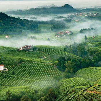 Prosecco DOC To Allocate Further 3,000 Hectares