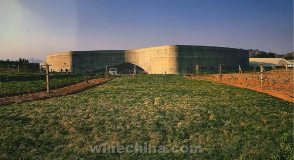 金士酒庄:文化建设与基地管理并重