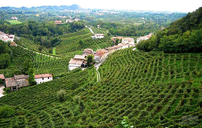 为满足持续增长的市场需求 Prosecco将增加3000公顷葡萄园