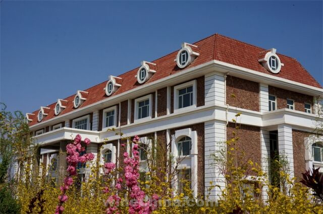 ����ɽ���¹󱲳�  �쿥��˼��Decanter˫��