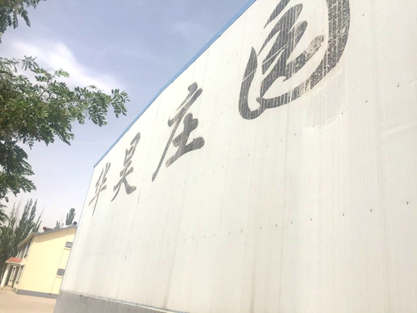卡斯特:I like 中国,I like 宁夏