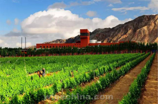 中国酿酒师风采录(102)莉莲·卡特(Lilian Carter):从旅行中寻找灵感