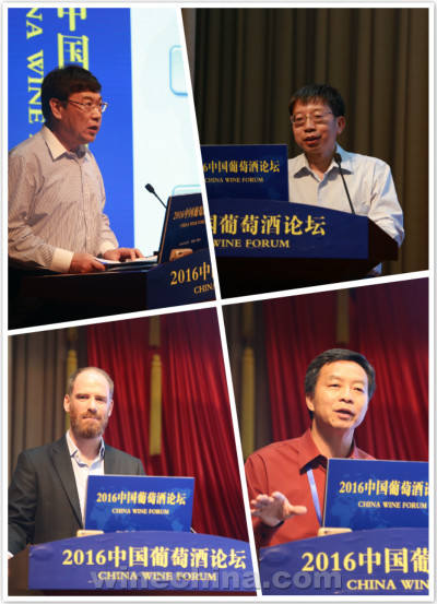 “国际化”遇上“中国风”——2016中国葡萄酒论坛在烟台举行