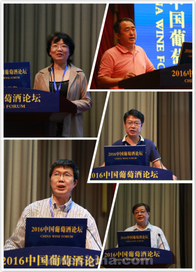 深度、专业成中国葡萄酒论坛两大标签