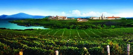 蓬莱检验检疫局助推蓬莱葡萄酒产业发展
