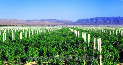 �������ý��ں���ɽ��´���Ѳ��溦���ι����Ľ���֪ͨ