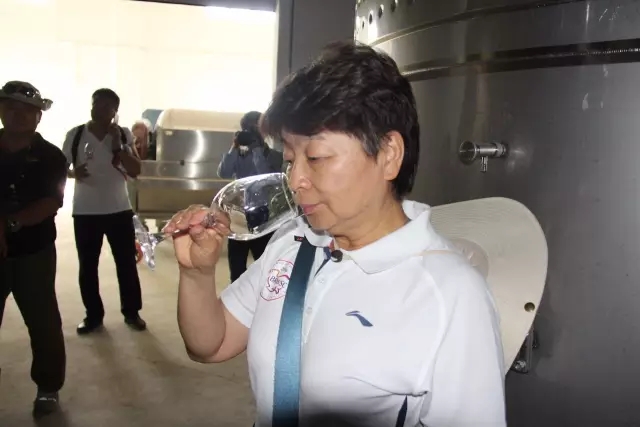 重走丝绸之路