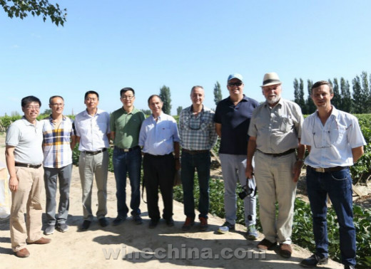 Xinjiang Northern Slope of Tianshan-Manas Wine Region Terroir Conference Held