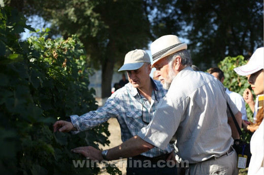 Xinjiang Northern Slope of Tianshan-Manas Wine Region Terroir Conference Held