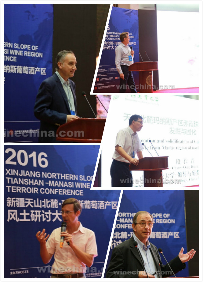 Xinjiang Northern Slope of Tianshan-Manas Wine Region Terroir Conference Held