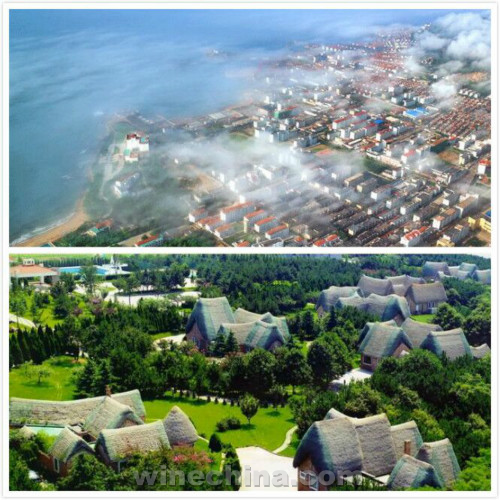 ���ϴ⶯̬���ϴ�˽�����ٳ��� ������������һ��