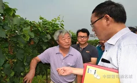 西北农林科技大学葡萄酒学院考察团来蓬考察调研