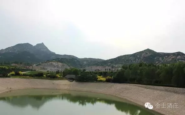 金士酒庄的风土