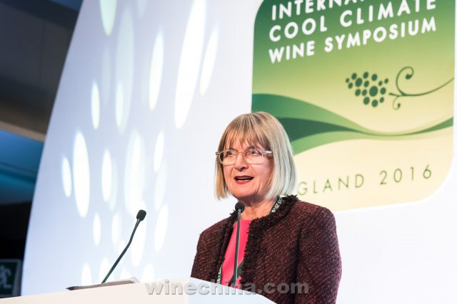 英国顶级葡萄酒专家呼吁英国重返OIV