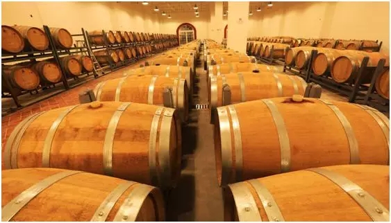 穿越楼兰:别总盯着法国酒庄 最美的葡萄酒在新疆