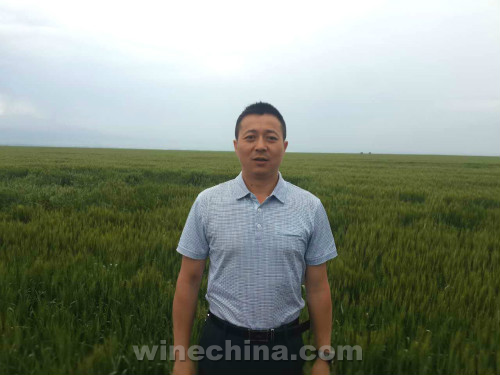 “酿酒工作者的成长没有捷径,是一个个苦乐相伴的历程,‘苦’是生产过程,‘乐’是美酒被消费者认可,苦是长期的坚守,乐是瞬间的美好。”陈新军说完这段话后沉默了许久。弹指一挥间,从普通的工人蜕变成企业的生产技术副总监,他已经在中信国安葡萄酒业有限公司度过了十六年。苦涩几何,快乐几何,个中滋味,自己知道。走近陈新军,听听他背后的点滴故事。
