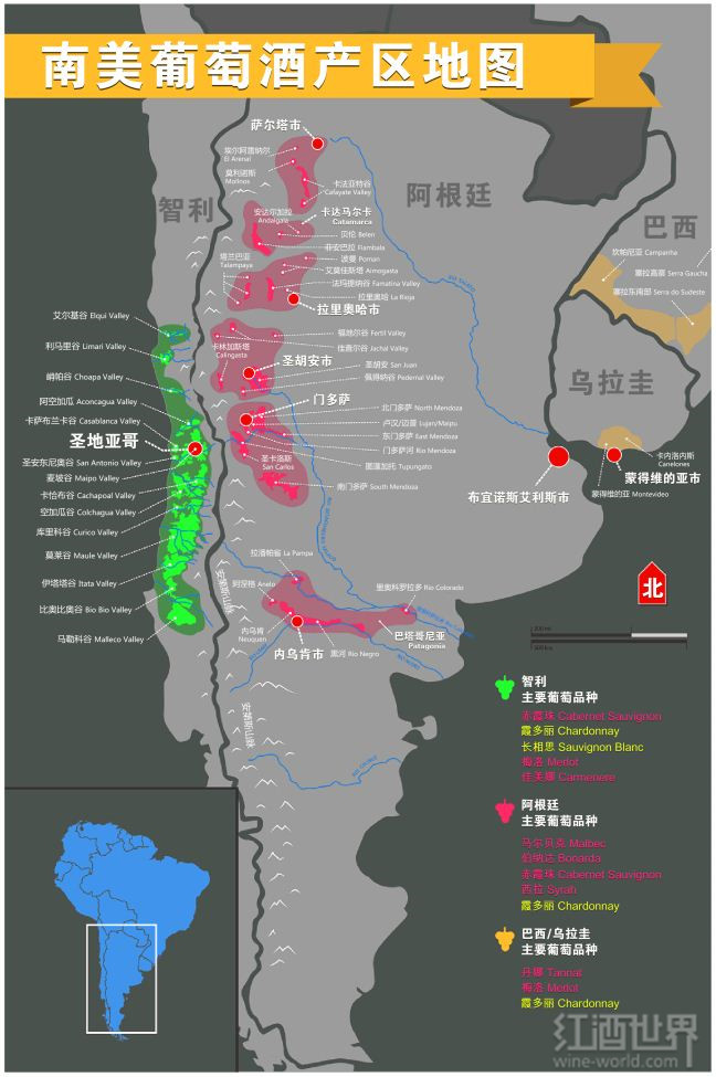 南美葡萄酒已成新趋势