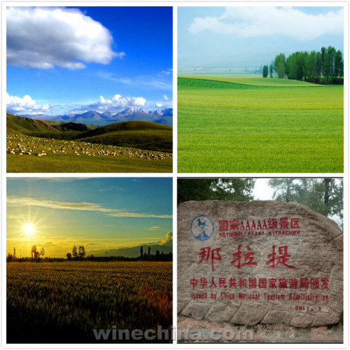 湖南川渝商会醉美新疆行开启