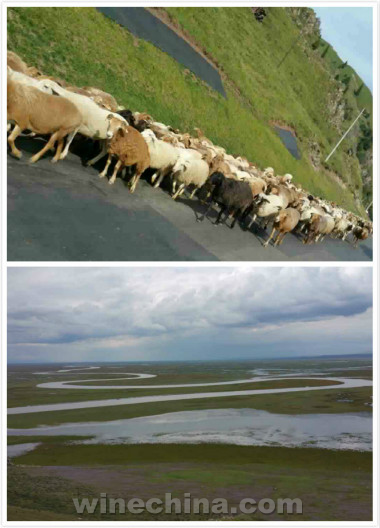 湖南川渝商会醉美新疆行开启