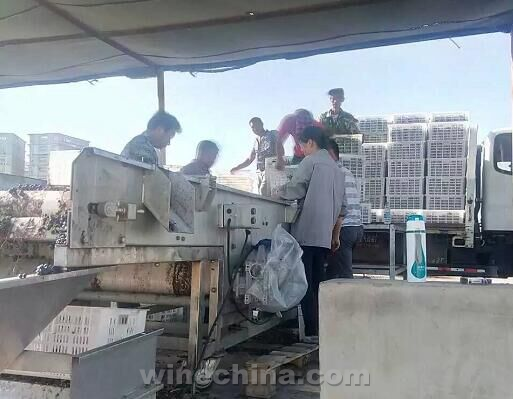 2016葡萄园报告(28)新疆产区:南疆采收接近尾声