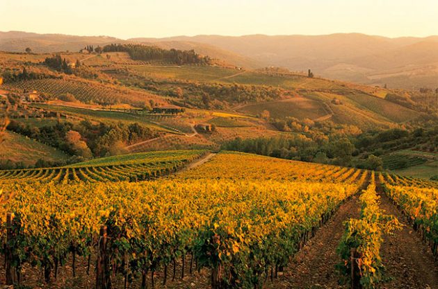 Chianti bids to join UNESCO world heritage club