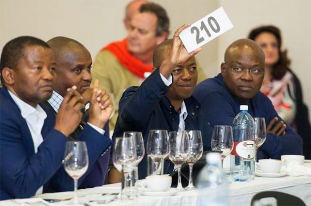 South African wine auction breaks new record