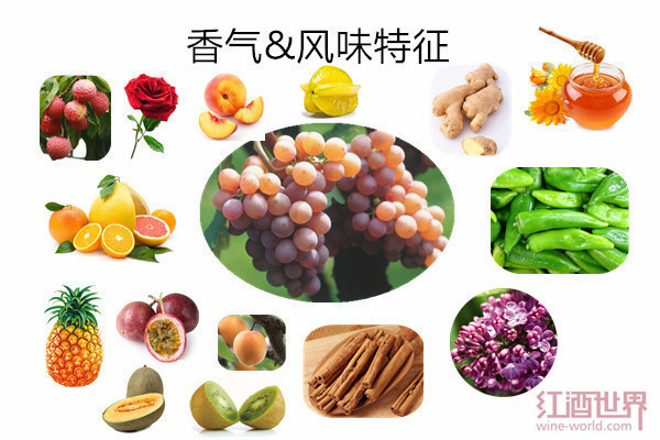 专访粉红佳人——琼瑶浆